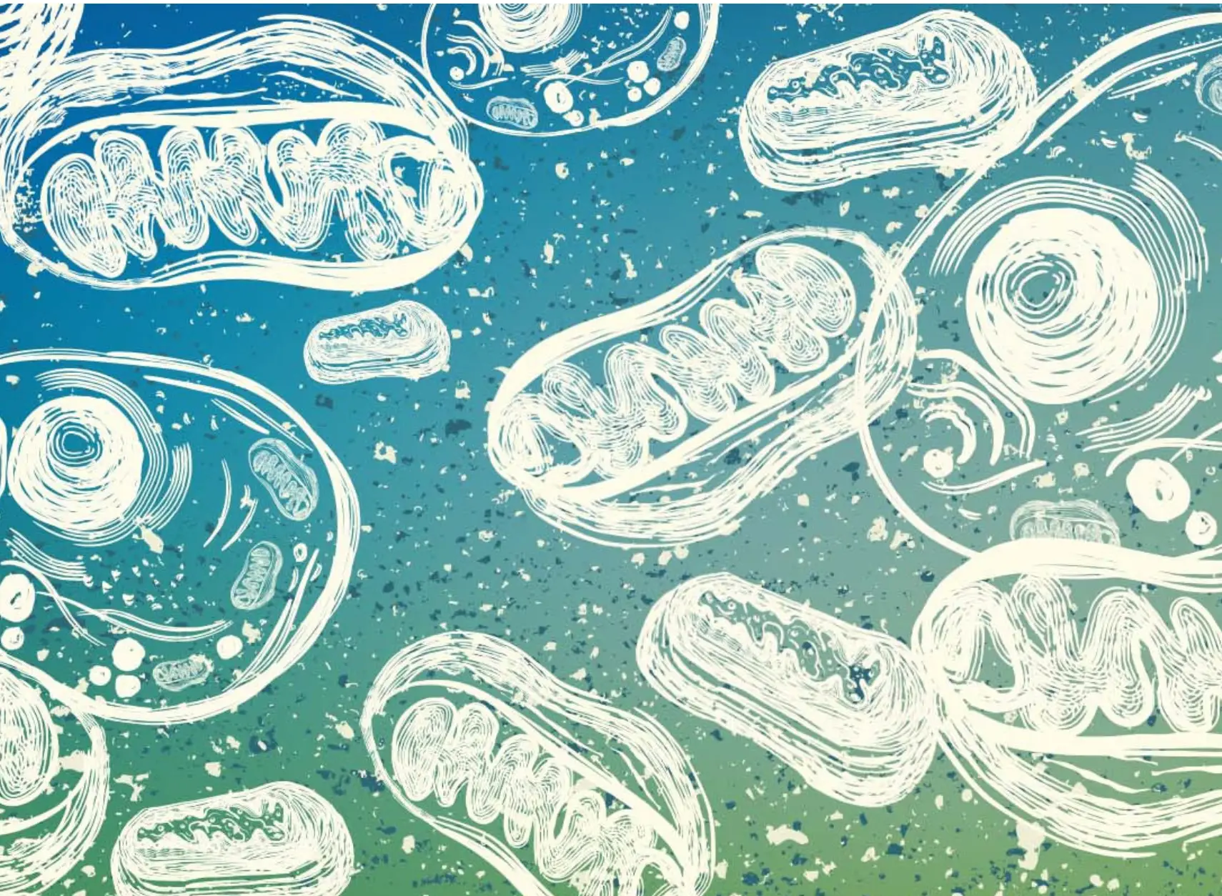 GUT HEALTH + MICROBIOME