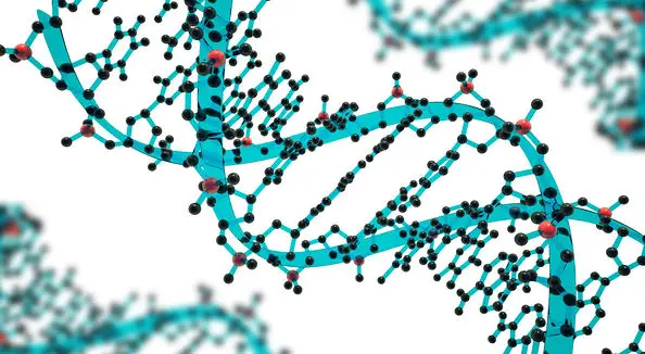 GENETIC SEQUENCING